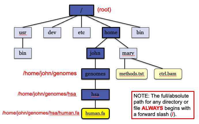 Unix file structure