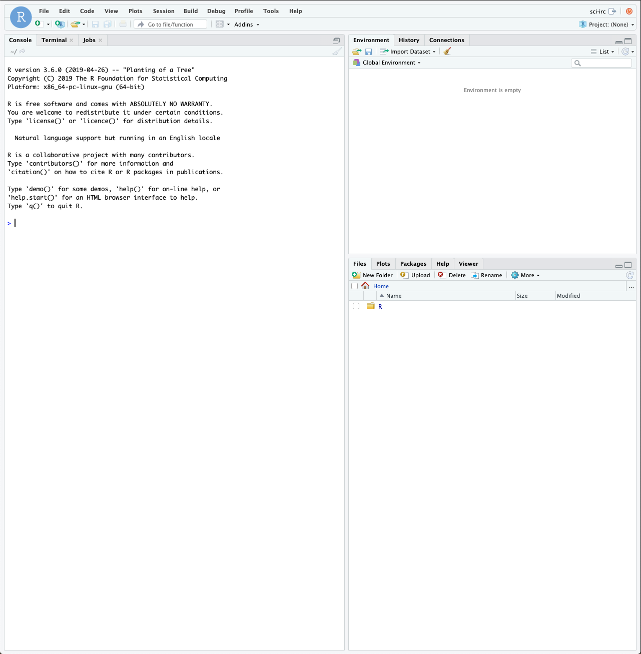 Rstudio Interface